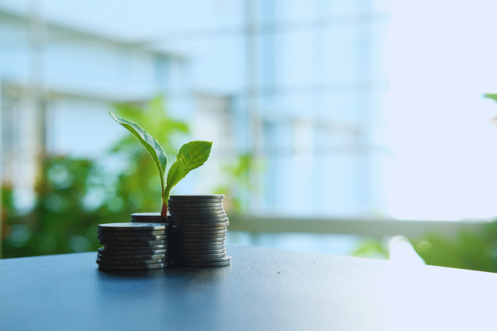 Top 5 Reasons Why a Business Loan Can Help You Grow Faster